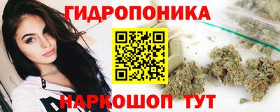 прущие грибы Конаково