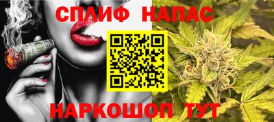 прущие грибы Конаково